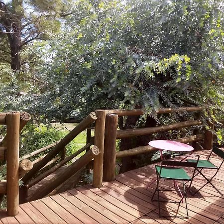 Cabanas Del Uru Колон Экстерьер фото