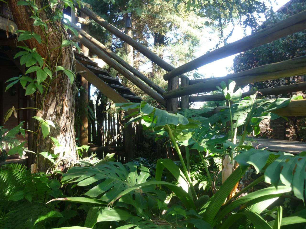 Cabanas Del Uru Колон Экстерьер фото